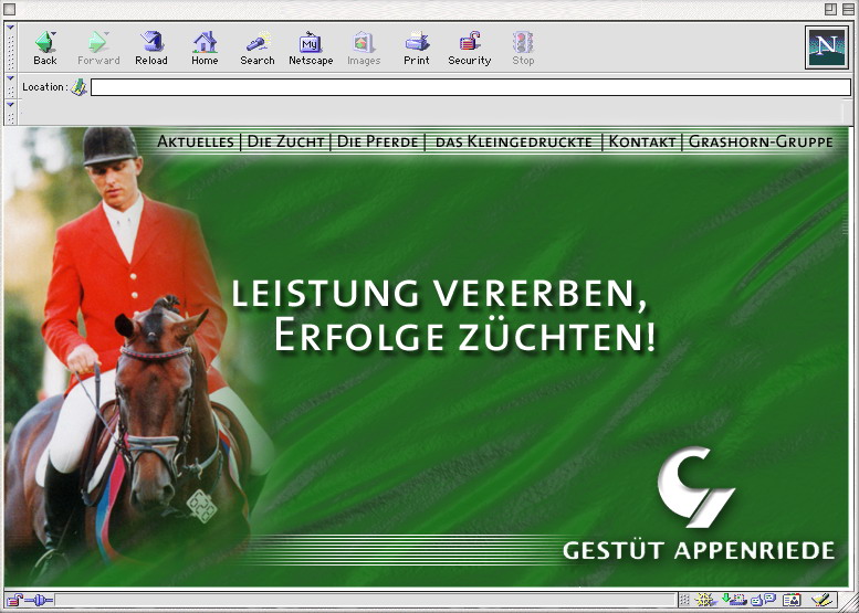 Webdesign Arbeitsbeispiel von die reine form 34